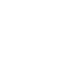 Inicio 5 Verduras Frescas